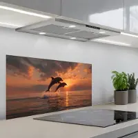 KitchenYeah Spatscherm 80x40 cm - Zelfklevende achterwand Dolfijnen - Zee - Realistisch - Keuken muurbeschermer - Spatwand fornuis