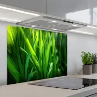 KitchenYeah Spatscherm 80x60 cm - Zelfklevende achterwand Grassprieten - Lichtinval - Groen - Keuken muurbeschermer - Spatwand fornuis