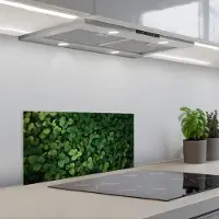 KitchenYeah Spatscherm 60x30 cm - Zelfklevende achterwand Groen - Bladeren - Kartel - Zonlicht - Keuken muurbeschermer - Spatwand fornuis