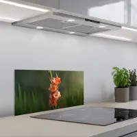 KitchenYeah Spatscherm 70x30 cm - Zelfklevende achterwand Bloem - Gladiolen - Zalmroze - Keuken muurbeschermer - Spatwand fornuis