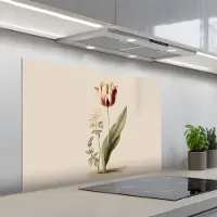 KitchenYeah Spatscherm 100x65 cm - Zelfklevende achterwand Tulp - Minimalistisch - Beige - Keuken muurbeschermer - Spatwand fornuis