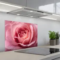KitchenYeah Spatscherm 70x50 cm - Zelfklevende achterwand Roze - Roos - Romantisch - Keuken muurbeschermer - Spatwand fornuis