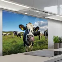 KitchenYeah Spatscherm 120x80 cm - Zelfklevende achterwand Koe - Tong - Weide - Keuken muurbeschermer - Spatwand fornuis