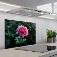 KitchenYeah Spatscherm 70x50 cm - Zelfklevende achterwand Blad - Chrysant - Roze - Schaduw - Keuken muurbeschermer - Spatwand fornuis