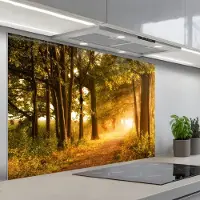 KitchenYeah Spatscherm 120x80 cm - Zelfklevende achterwand Bos - Bomen - Zonlicht - Herfst - Bospad - Natuur - Keuken muurbeschermer - Spatwand fornuis