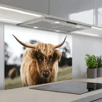 KitchenYeah Spatscherm 90x60 cm - Zelfklevende achterwand Schotse Hooglander - Koe - Gras - Dieren - Natuur - Keuken muurbeschermer - Spatwand fornuis
