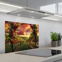 KitchenYeah Spatscherm 70x50 cm - Zelfklevende achterwand Wijngaard - Druiven - Zonsondergang - Keuken muurbeschermer - Spatwand fornuis