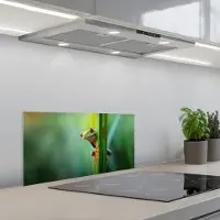 KitchenYeah Spatscherm 60x30 cm - Zelfklevende achterwand Groene kikker - Nieuwsgierig - Gras - Keuken muurbeschermer - Spatwand fornuis