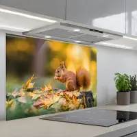 KitchenYeah Spatscherm 90x60 cm - Zelfklevende achterwand Eekhoorn - Herfst - Bosdieren - Herfstbladeren - Bos - Keuken muurbeschermer - Spatwand fornuis