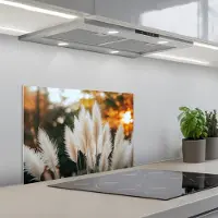 KitchenYeah Spatscherm 60x40 cm - Zelfklevende achterwand Pampasgras - Pluimen - Sierlijk - Keuken muurbeschermer - Spatwand fornuis