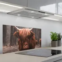 KitchenYeah Spatscherm 80x40 cm - Zelfklevende achterwand Schotse hooglander - Bos - Koe - Dieren - Natuur - Keuken muurbeschermer - Spatwand fornuis
