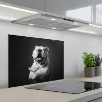 KitchenYeah Spatscherm 70x55 cm - Zelfklevende achterwand Buldog - Hond - Glas - Keuken muurbeschermer - Spatwand fornuis