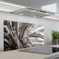 KitchenYeah Spatscherm 100x50 cm - Zelfklevende achterwand Palmboom - Tropisch - Zwart - Wit - Keuken muurbeschermer - Spatwand fornuis