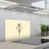 KitchenYeah Spatscherm 60x40 cm - Zelfklevende achterwand Zwart - Narcis - Illustratie - Keuken muurbeschermer - Spatwand fornuis