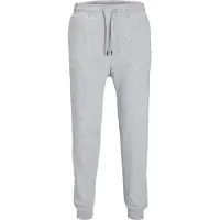 Jack & Jones Broek grijs