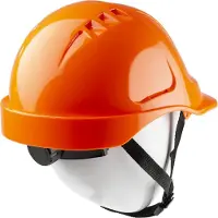 Portwest Endurance Helm