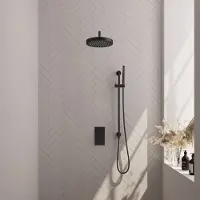Brauer stripe thermostatische inbouw regendouche 3-weg rechthoekig set 20 met 25 cm douchekop en gebogen muurarm en staaf handdouche en doucheslang en