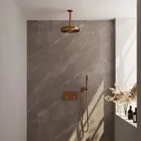Brauer Stripe thermostatische inbouw regendouche met drukknoppen SET 27 met 25 cm douchekop en plafondarm en staaf handdouche en doucheslang en wandaansluitbocht koper geborsteld PVD