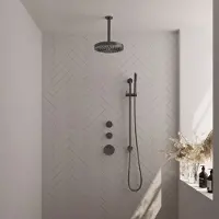Brauer Stripe thermostatische inbouw regendouche SET 09 met 25 cm douchekop en plafondarm en staaf handdouche en doucheslang en geintegreerde glijstang gunmetal geborsteld PVD