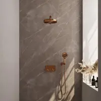 Brauer stripe thermostatische inbouw regendouche met drukknoppen set 28 met 25 cm douchekop en rechte muurarm en 3-standen handdouche en doucheslang