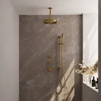 Brauer Stripe thermostatische inbouw regendouche SET 09 met 25 cm douchekop en plafondarm en staaf handdouche en doucheslang en geintegreerde glijstang goud geborsteld PVD
