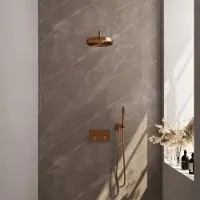 Brauer stripe thermostatische inbouw regendouche met drukknoppen set 26 met 25 cm douchekop en gebogen muurarm en staaf handdouche en doucheslang en