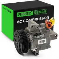RIDEX 447K0298R Aircopomp