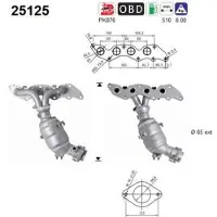 As 25125 Katalysator