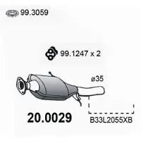 ASSO 20.0029 Katalysator