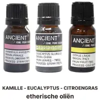 LK Basis Etherische Olie Set - Kamille - Eucalyptus - Citroengras - 30 ml