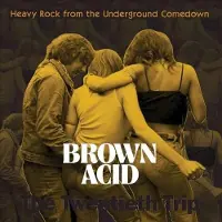 Ginza.se Various Artists - Brown Acid: The Twentieth Trip (LP)