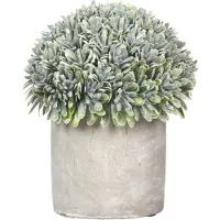 Pomax - Artificiële plant in pot 'Concrete Jungle' (Groen)
