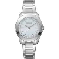 DKNY Dameshorloge DK1L020M0035, zilverkleurig, ideaal als cadeau