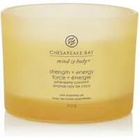 Chesapeake Bay Candle – Kracht & Energie – geurkaars met 3 lonten 312 g