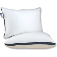 Silver Star Hotelkussens - 2-PACK 40x60 cm