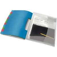 Esselte Vivida sorteermap transparant (12 tabs)