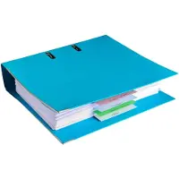 Exacompta FOREVER Pak van 100 horizontale tabstroken met perforatie 180g - 105x240mm - Geassorteerd - 13495B
