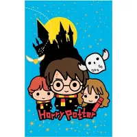 MCU Fleece Deken, Zweinstein - 100 x 150 cm - Polyester