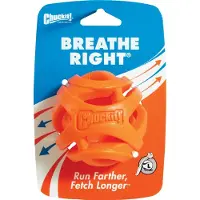 Chuckit! Breathe Right Fetch Ball Large ø 7 cm