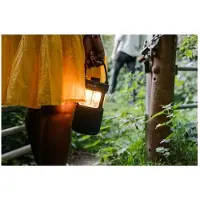 Pure Woodland Glow Bluetooth-luidspreker