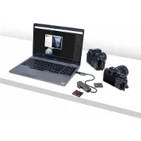 StarTech.com Kaartlezer Extern FCREADMICRO3V2 Grijs