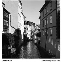 Ilford Ortho Plus135/36 sw Film