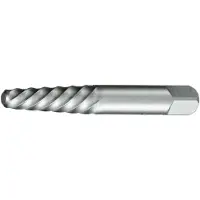Stahlwille 71010004 Schroefuitdraaier M10 - M12