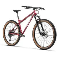 Bombtrack - Cale GX Eagle Mountainbike - Premium Offroad Trail Hardtail - 29er Adventure Bike - CrMo Frame - SRAM GX Eagle 12-speed - High-Performance MTB - Metallic Bordeauxrood - Maat XL
