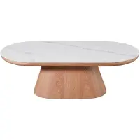 Giga Meubel Salontafel Alba Naturel Marmer 120cm Ovaal