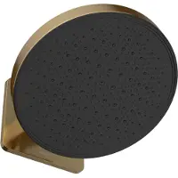 Hotbath &More M620 inbouw hoofddouche 30cm rond kantelbaar met 2 functies geborsteld messing PVD