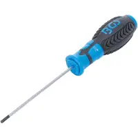 Bgs Schroevendraaier - binnenzeskant 3 mm - Meslengte 100 mm