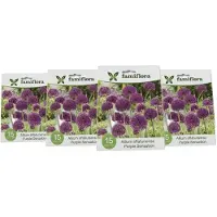 Famiflora Allium Purple Sensation 4 x 15 - 60 bloembollen - Betoverende paarse bloemen trekken bestuivers aan voor een levendige tuin - Verhoogt de visuele aantrekkingskracht en charme van je tuin