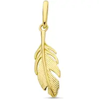 New Bling - 9NBG-0929 - 14K geelgouden Hanger – Veer – Dames Hanger