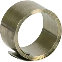 Dehn SA KRF 29 V2A Contactveer (constant force spring) 1 stuk(s)